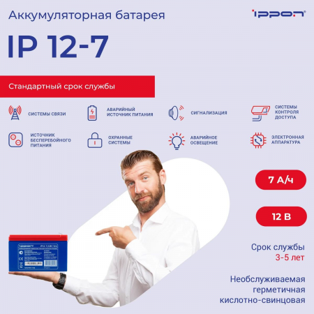 Аккумуляторная батарея Ippon IP12-7, фото , изображение 2