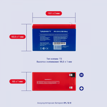 Батарея для ИБП Ippon IPL12-9 12В 9Ач, фото , изображение 3