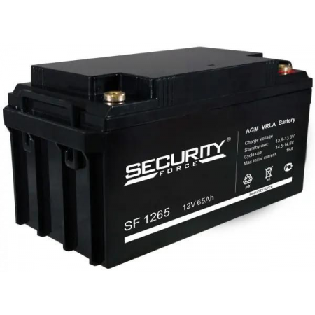 Аккумулятор Security Force SF 1265, фото 