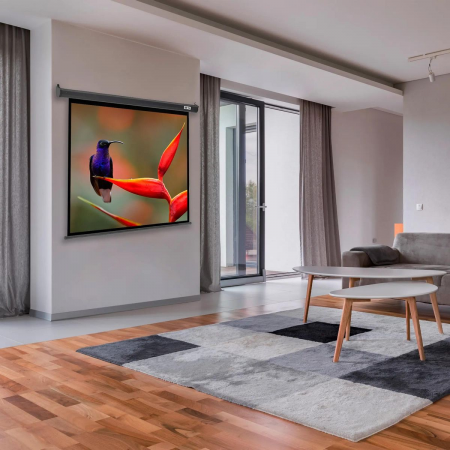 Экран Cactus SIlverMotoExpert 138x220см (CS-PSSME-220X138-DG), фото , изображение 2