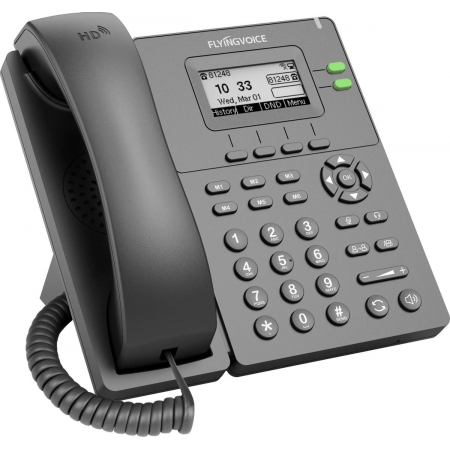 Телефон IP Flyingvoice P20 серый (упак.:1шт), фото , изображение 3