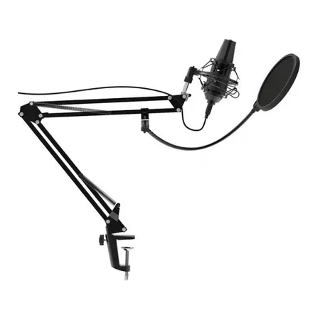 Микрофон проводной Ritmix RDM-180 2.5м черный, фото 