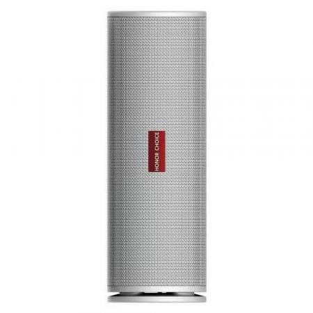 Акустическая система HONOR BTH 30W WHITE PRO 5504AAVN VNC-ME00 CHOICE, фото 