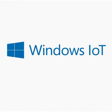 Операционная система Win 10 IoT Ent 2021 LTSC MultiLang ESD OEI Upgrade Value, фото 