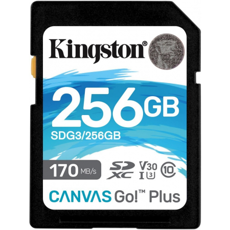 Флеш карта SDXC 256GB Kingston SDG4/256GB Canvas Go! Plus V30 + adapter, фото 