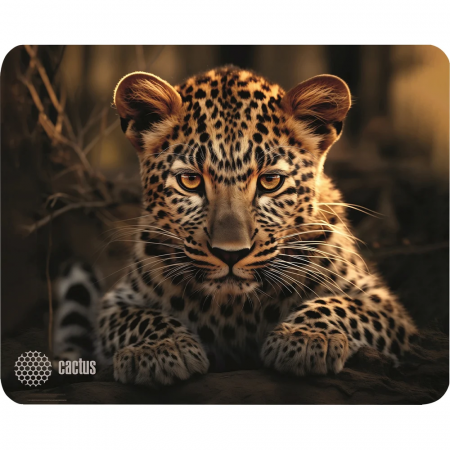 Коврик для мыши Cactus Leopard 250x200x3мм (CS-MP-D06S), фото 