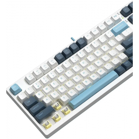 Клавиатура A4Tech Fstyler FS300 механическая белый/синий USB for gamer LED (FS300 PANDA SNOWBOARDING), фото , изображение 11