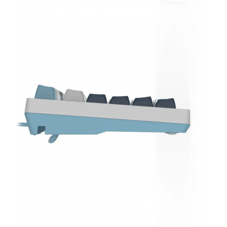 Клавиатура A4Tech Fstyler FS300 механическая белый/синий USB for gamer LED (FS300 PANDA SNOWBOARDING), фото , изображение 9