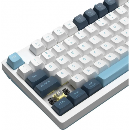 Клавиатура A4Tech Fstyler FS300 механическая белый/синий USB for gamer LED (FS300 PANDA SNOWBOARDING), фото , изображение 10