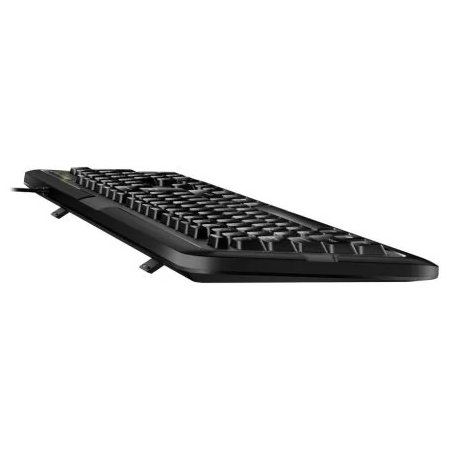 Клавиатура Genius keyboard KB-118 II,RU,USB, Black, фото , изображение 2