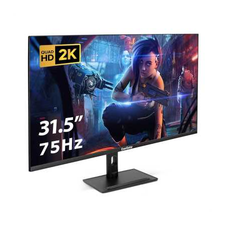 Монитор с аудио 31.5" WQHD ExeGate SmartView ES3207TA (IPS LED Grade A+, 2K, 2560x1440@75Гц (WQHD), 16:9, 250cd/m2, 1000:1, 178°/178°, 1ms, HDMI, DisplayPort, USB, audio-out, speakers, Flicker-free, FreeSync, Low Blue Light, кабель HDMI 1.5м, VESA 75x75,, фото 