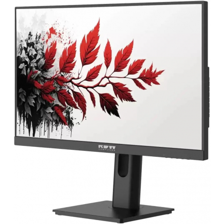 Монитор RDW Computers 27" RDW2701K черный IPS 1ms HDMI M/M матовая HAS Piv 350cd 178гр/178гр 2560x1440 100Hz DP QHD (RUS), фото , изображение 2
