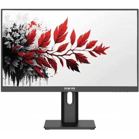 Монитор RDW Computers 27" RDW2701K черный IPS 1ms HDMI M/M матовая HAS Piv 350cd 178гр/178гр 2560x1440 100Hz DP QHD (RUS), фото 