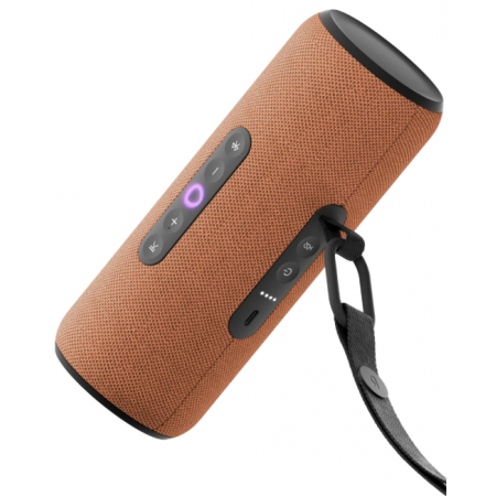 Умная колонка Yandex Стрит Алиса оранжевый 30W 2.0 BT/Wi-Fi 10м 3300mAh (YNDX-00030ORG), фото 