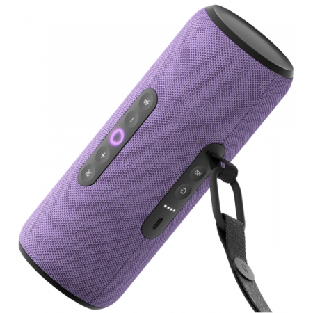 Умная колонка Яндекс Станция Стрит с Алисой, портативная, модель YNDX-00030VIO (фиолетовый), фото 