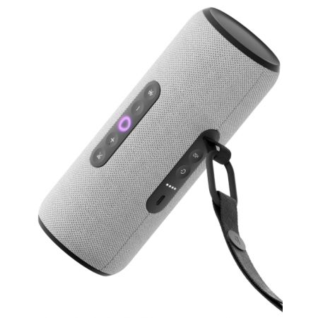 Умная колонка Яндекс Станция Стрит с Алисой, портативная, модель YNDX-00030GRY (серый), фото 