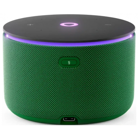 Умная колонка Яндекс Станция Мини 3 Про, Zigbee, модель YNDX-00059GRN (зеленый), фото , изображение 3