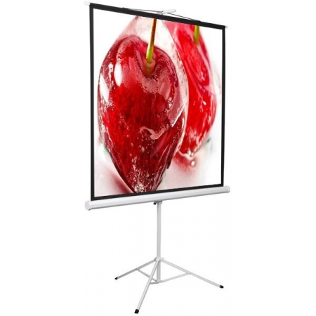 Экран 180x180см Digis Kontur-D DSKD-1105 1:1 напольный рулонный, фото 