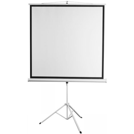 Экран 180x180см Digis Kontur-D DSKD-1105 1:1 напольный рулонный, фото , изображение 2