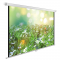Экран Cactus WallExpert 200x200см (CS-PSWE-200X200-WT), фото 