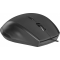 Мышь  Defender Accura MM-362 Black (52362), фото , изображение 2