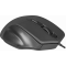 Мышь  Defender Datum MB-347 Black (52347), фото , изображение 4