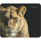 Коврик для мыши Defender Wild Animals 50803 220x180x2 мм, 8 видов, фото , изображение 16