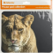 Коврик для мыши Defender Wild Animals 50803 220x180x2 мм, 8 видов, фото , изображение 9