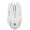 Клавиатура + мышка DEFENDER LINE MOTION C-977 RU WHITE 45977, фото , изображение 9