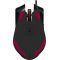 Клавиатура + мышь A4Tech Bloody B1700 клав:черный мышь:черный USB LED (B1700 ( B140N +ES7 + BP-50M)), фото , изображение 18