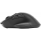 Мышь беспроводная Acer OMR150 (ZL.MCEEE.00K) Чёрный, фото , изображение 5