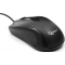 Мышь проводная Gembird MUSOPTI9-905U черный, 1000 dpi, USB, кнопки - 3, фото , изображение 2
