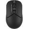 Мышь беспроводная A4Tech Fstyler FG12 (1454090) Чёрный, фото , изображение 4