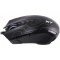 Мышь A4Tech X89 черный оптическая 2400dpi USB 8but (X89 (BLACK)), фото , изображение 3