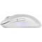 Мышка MSI USB OPTICAL GAMING VERSA 300 W WHITE, фото , изображение 4