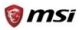 MSI