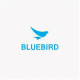 BLUEBIRD